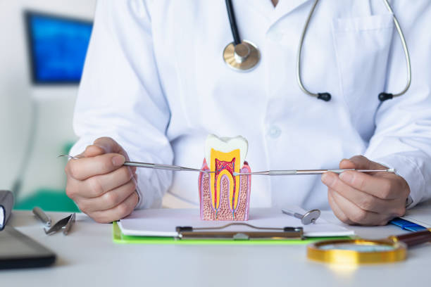 Best Emergency Orthodontic Repairs in Green Park, MO